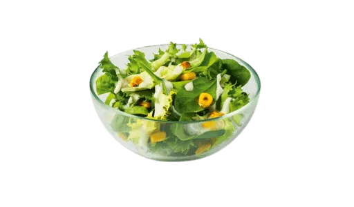 Regular Side Salad
